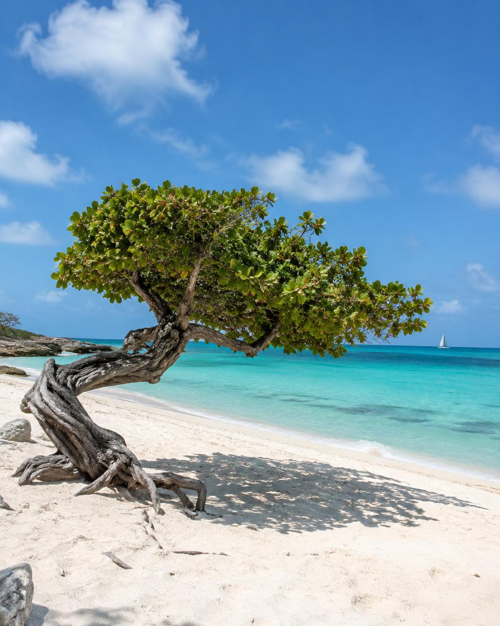 Aruba